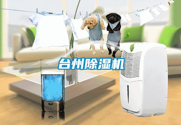 台州粉色视频免费在线观看