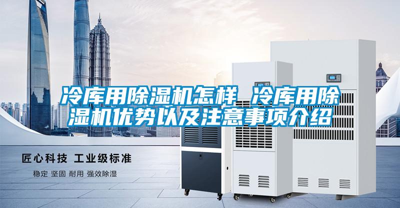 冷库用粉色视频免费在线观看怎样 冷库用粉色视频免费在线观看优势以及注意事项介绍