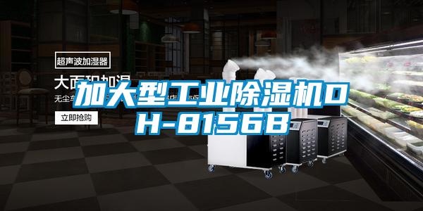 加大型工业粉色视频免费在线观看DH-8156B