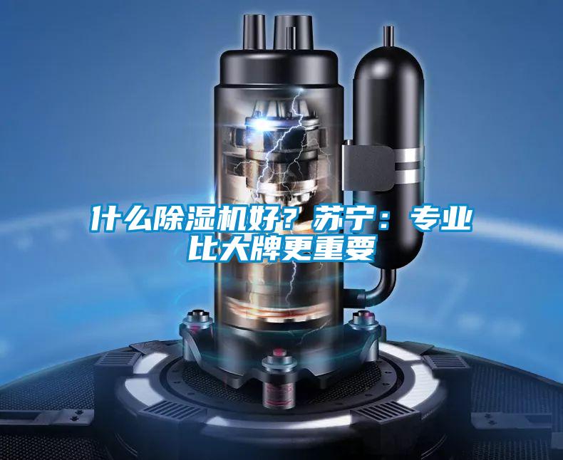 什么粉色视频免费在线观看好？苏宁：专业比大牌更重要