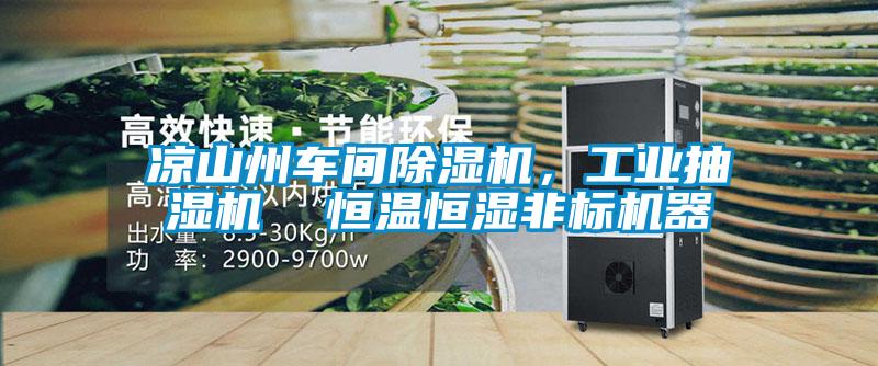 凉山州车间粉色视频免费在线观看，工业抽湿机  恒温恒湿非标机器