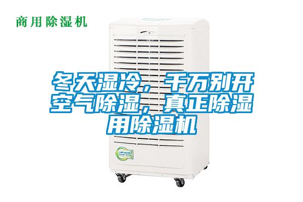 冬天湿冷，千万别开空气除湿，真正除湿用粉色视频免费在线观看