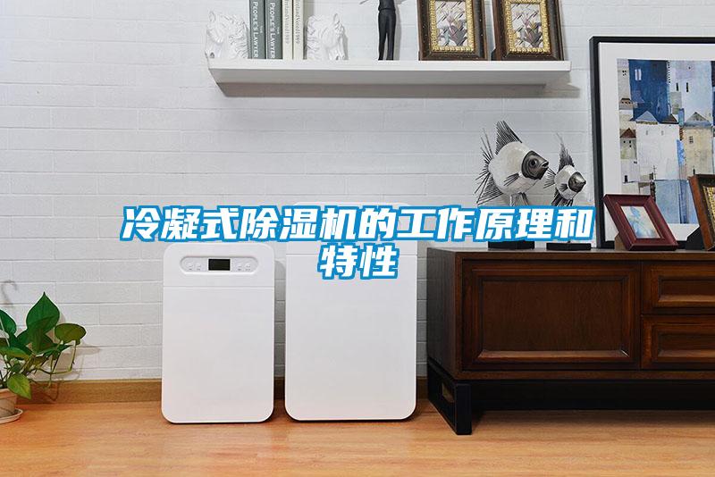冷凝式粉色视频免费在线观看的工作原理和特性