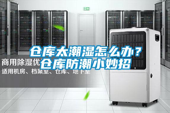仓库太潮湿怎么办？仓库防潮小妙招