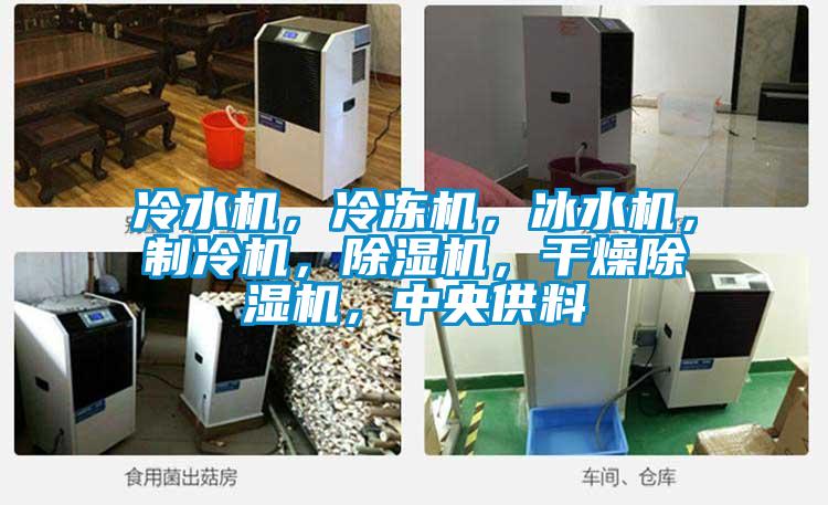 冷水机，冷冻机，冰水机，制冷机，粉色视频免费在线观看，干燥粉色视频免费在线观看，中央供料