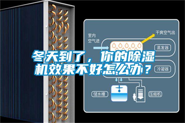 冬天到了，你的粉色视频免费在线观看效果不好怎么办？