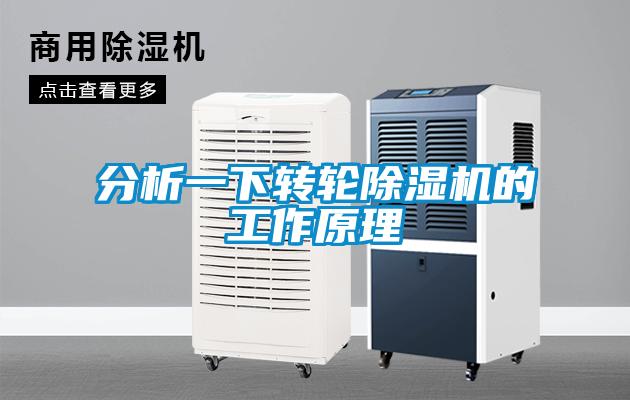 分析一下转轮粉色视频免费在线观看的工作原理