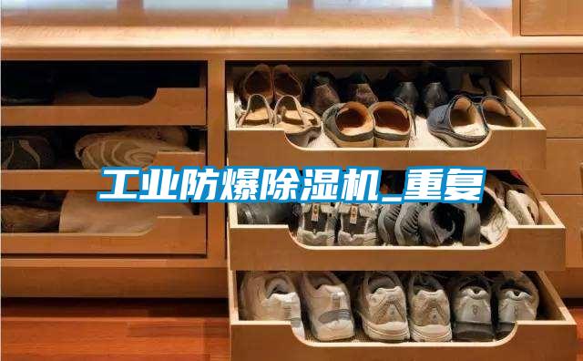 工业防爆粉色视频免费在线观看_重复