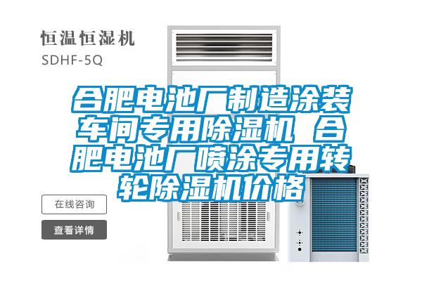 合肥电池厂制造涂装车间专用粉色视频免费在线观看 合肥电池厂喷涂专用转轮粉色视频免费在线观看价格