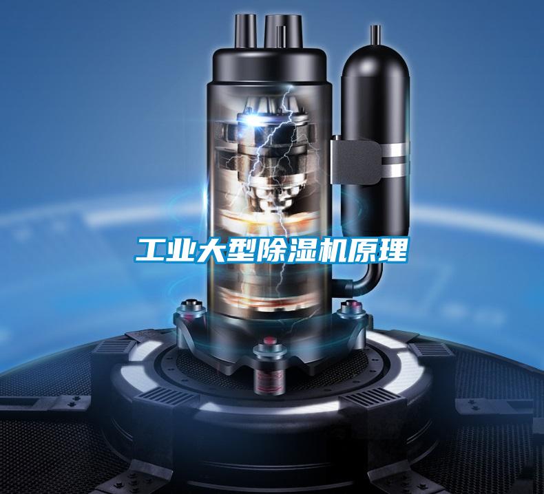 工业大型粉色视频免费在线观看原理