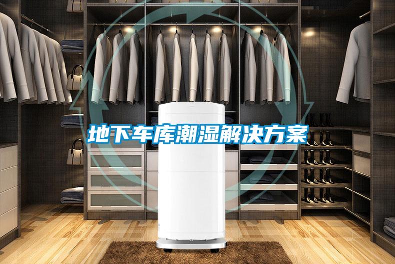 地下车库潮湿粉色视频成人