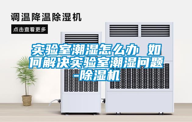 实验室潮湿怎么办 如何解决实验室潮湿问题-粉色视频免费在线观看