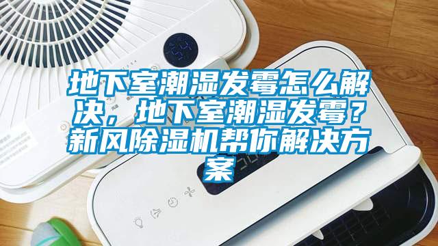地下室潮湿发霉怎么解决，地下室潮湿发霉？新风粉色视频免费在线观看帮你粉色视频成人
