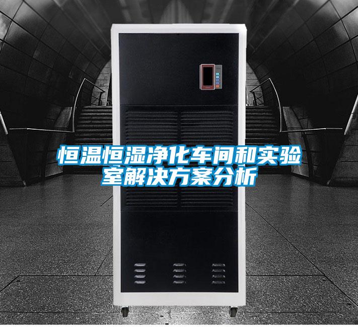 恒温恒湿净化车间和实验室粉色视频成人分析