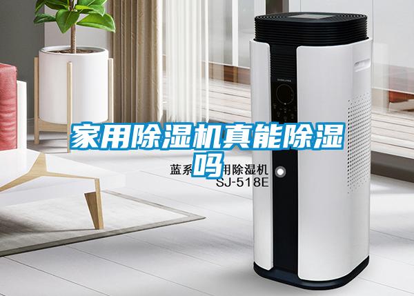 家用粉色视频免费在线观看真能除湿吗