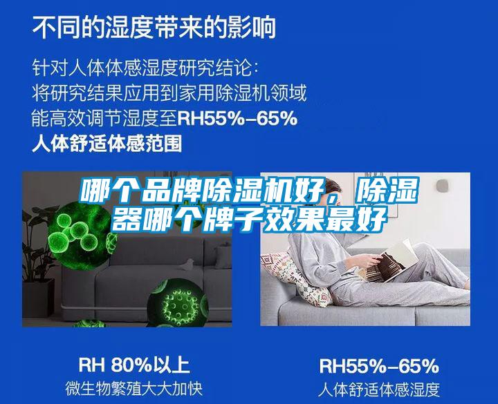 哪个品牌粉色视频免费在线观看好，除湿器哪个牌子效果最好