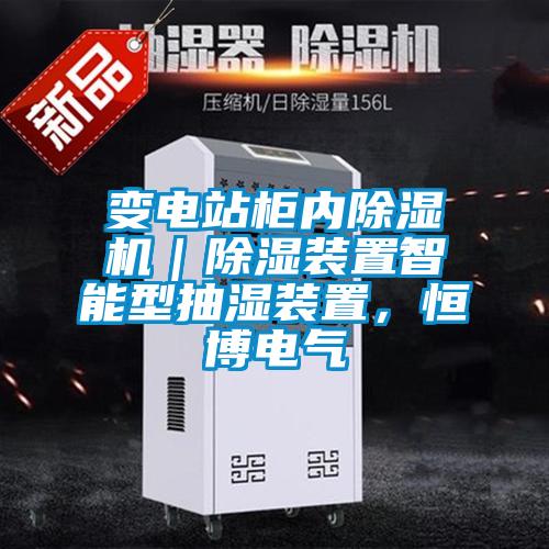 变电站柜内粉色视频免费在线观看｜除湿装置智能型抽湿装置，恒博电气