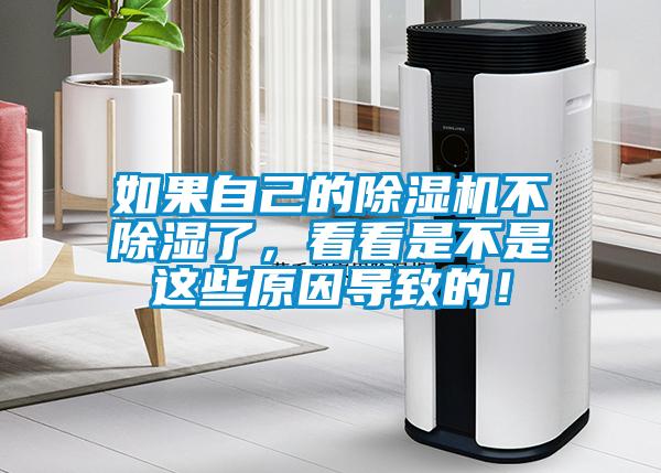 如果自己的粉色视频免费在线观看不除湿了，看看是不是这些原因导致的！
