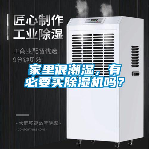 家里很潮湿，有必要买粉色视频免费在线观看吗？
