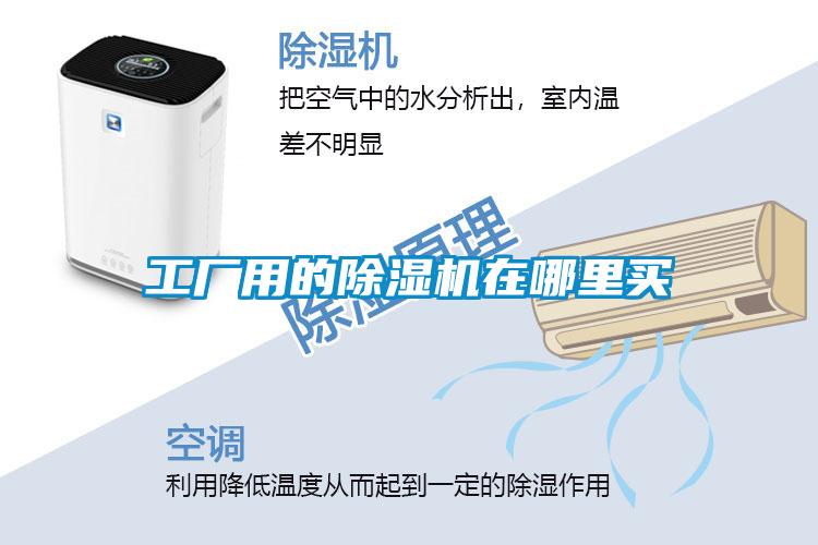 工厂用的粉色视频免费在线观看在哪里买