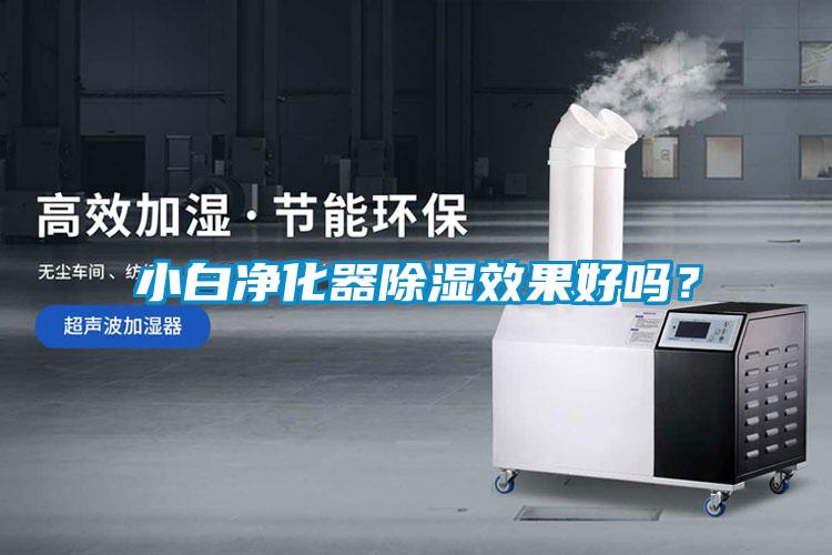 小白净化器除湿效果好吗？