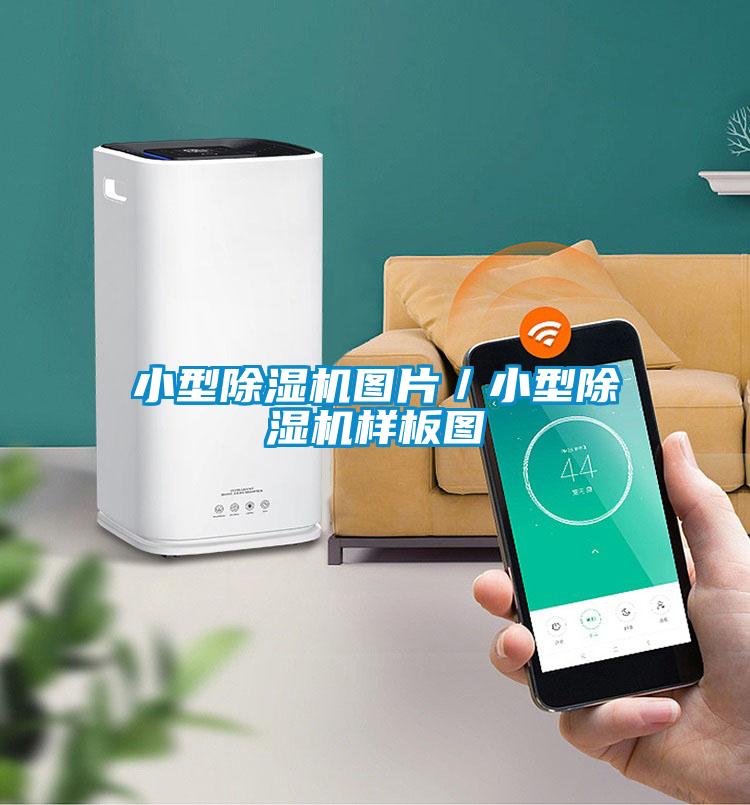 小型粉色视频免费在线观看图片／小型粉色视频免费在线观看样板图