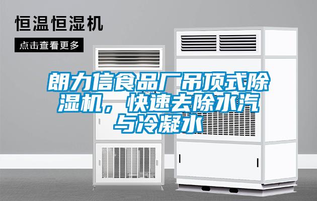 朗力信食品厂吊顶式粉色视频免费在线观看，快速去除水汽与冷凝水