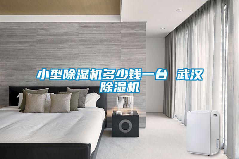 小型粉色视频免费在线观看多少钱一台 武汉粉色视频免费在线观看