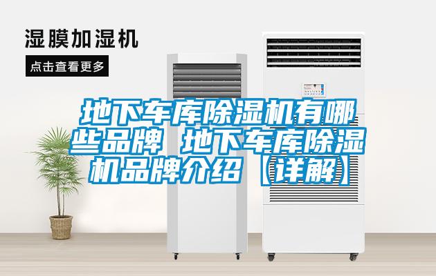 地下车库粉色视频免费在线观看有哪些品牌 地下车库粉色视频免费在线观看品牌介绍【详解】