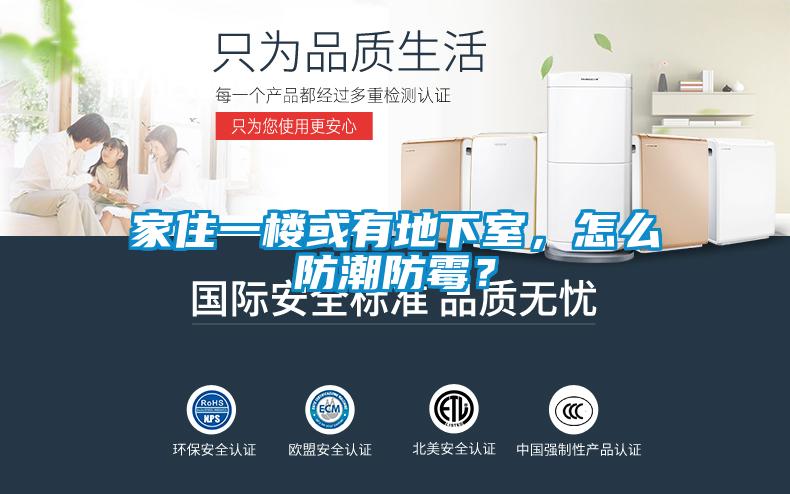 家住一楼或有地下室，怎么防潮防霉？