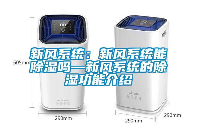 新风系统：新风系统能除湿吗—新风系统的除湿功能介绍