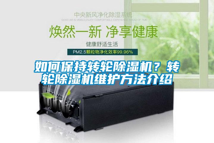 如何保持转轮粉色视频免费在线观看？转轮粉色视频免费在线观看维护方法介绍