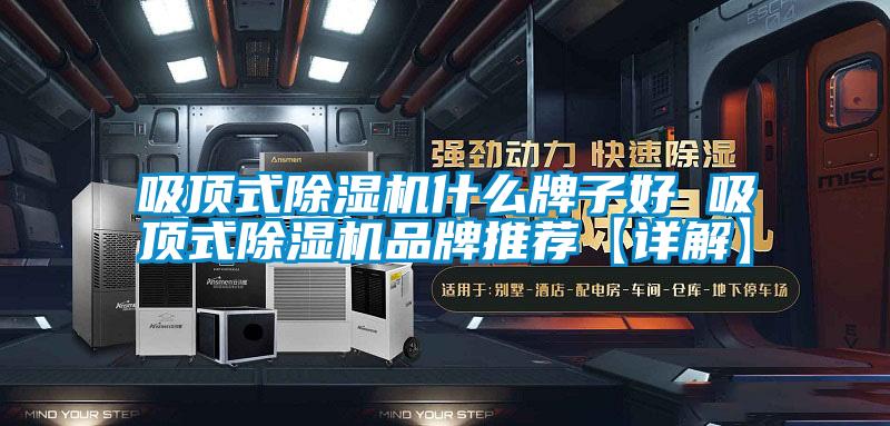吸顶式粉色视频免费在线观看什么牌子好 吸顶式粉色视频免费在线观看品牌推荐【详解】