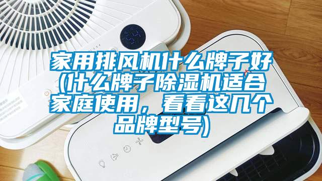 家用排风机什么牌子好(什么牌子粉色视频免费在线观看适合家庭使用，看看这几个品牌型号)