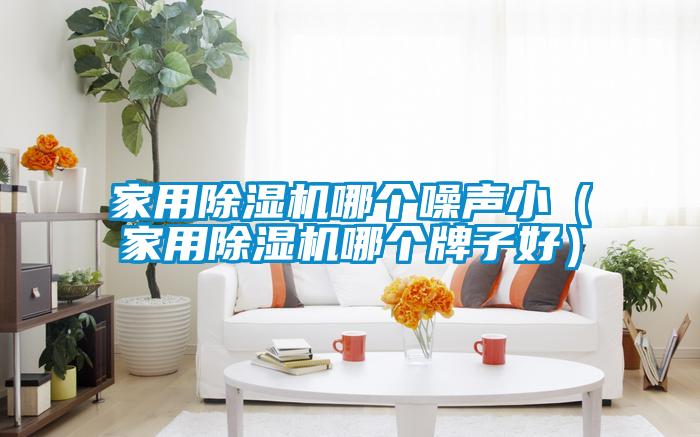 家用粉色视频免费在线观看哪个噪声小（家用粉色视频免费在线观看哪个牌子好）