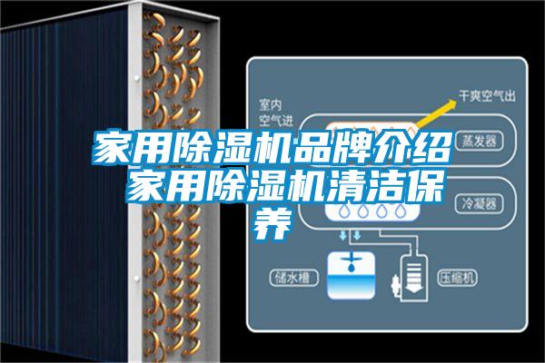 家用粉色视频免费在线观看品牌介绍 家用粉色视频免费在线观看清洁保养