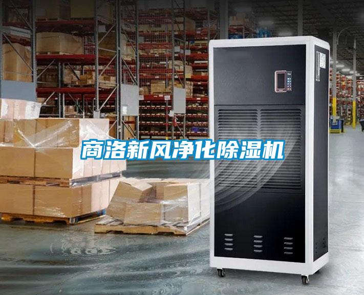 商洛新风净化粉色视频免费在线观看