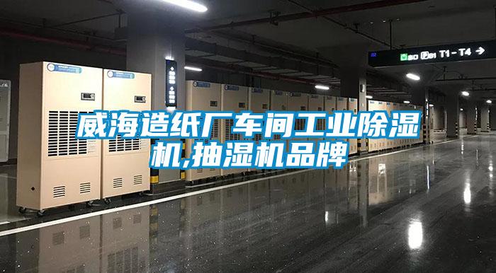 威海造纸厂车间工业粉色视频免费在线观看,抽湿机品牌