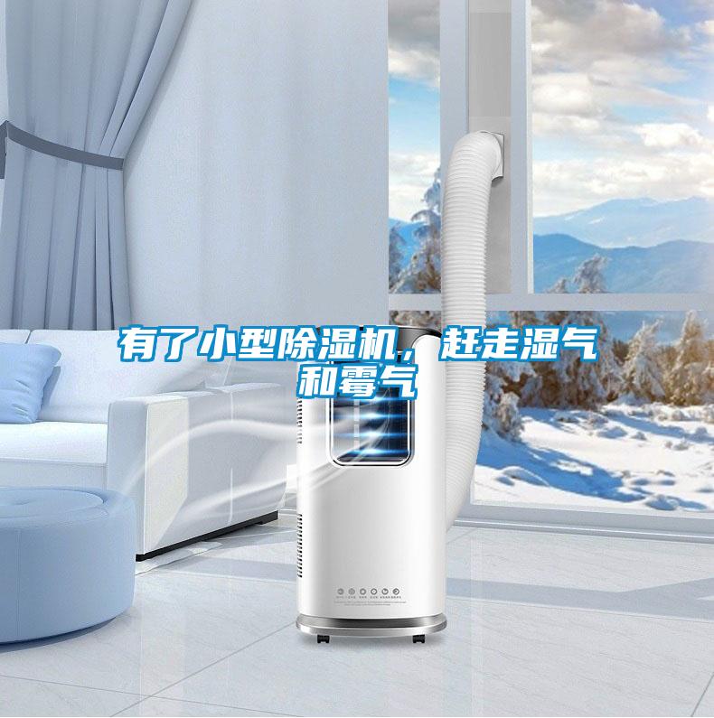 有了小型粉色视频免费在线观看，赶走湿气和霉气