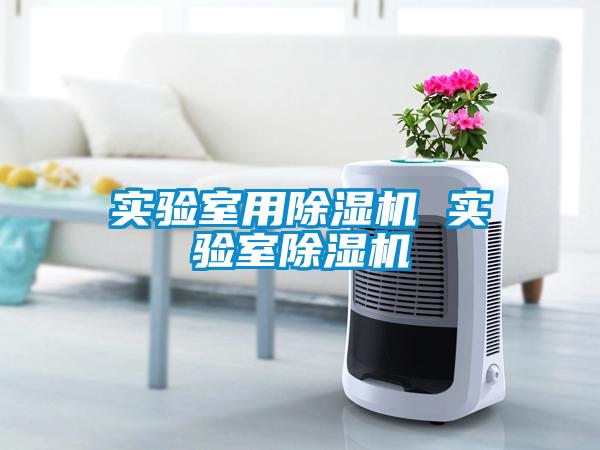 实验室用粉色视频免费在线观看 实验室粉色视频免费在线观看