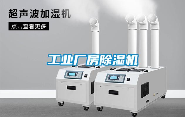工业厂房粉色视频免费在线观看