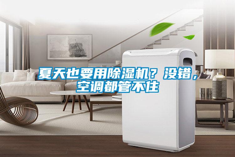 夏天也要用粉色视频免费在线观看？没错，空调都管不住