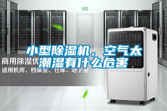 小型粉色视频免费在线观看，空气太潮湿有什么危害