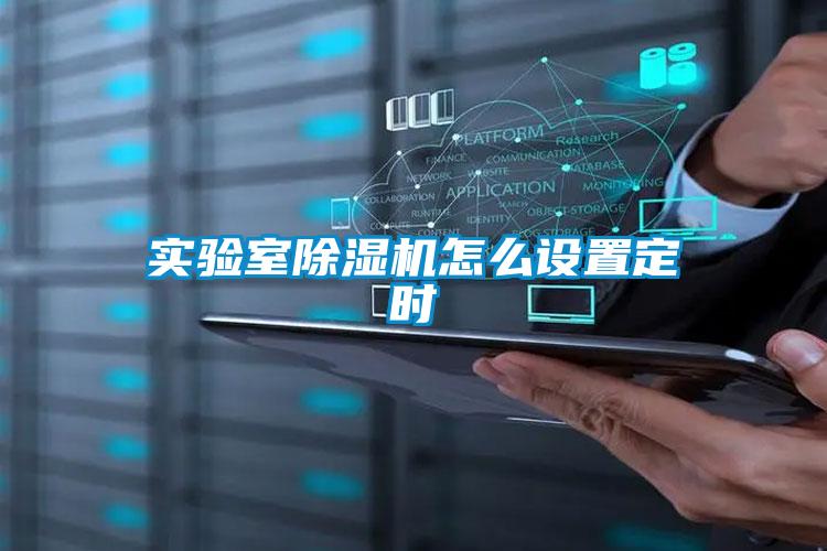 实验室粉色视频免费在线观看怎么设置定时