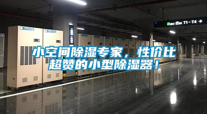 小空间除湿专家，性价比超赞的小型除湿器！