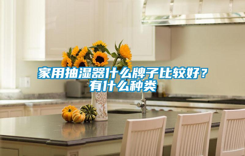 家用抽湿器什么牌子比较好？有什么种类