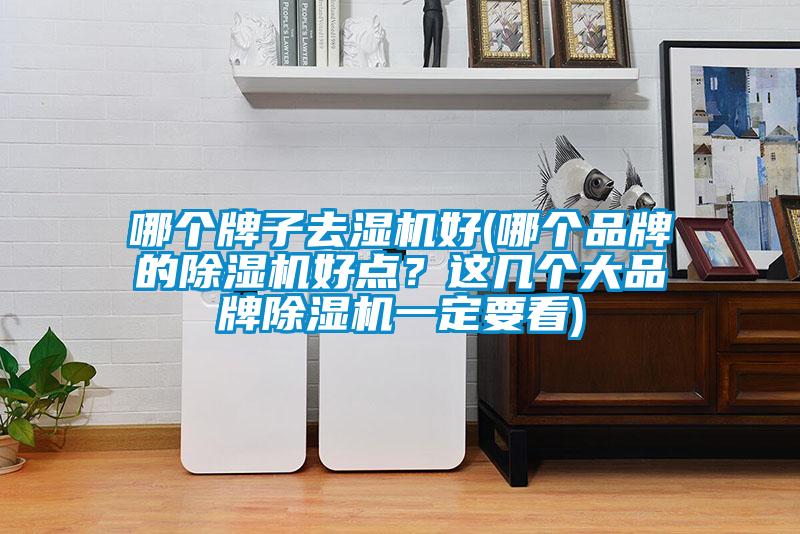 哪个牌子去湿机好(哪个品牌的粉色视频免费在线观看好点？这几个大品牌粉色视频免费在线观看一定要看)