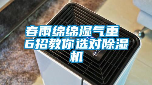 春雨绵绵湿气重 6招教你选对粉色视频免费在线观看