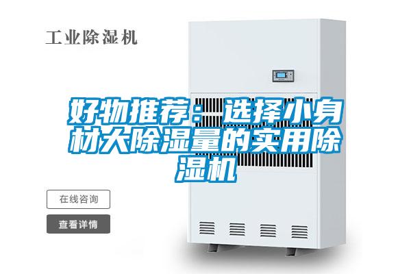 好物推荐：选择小身材大除湿量的实用粉色视频免费在线观看