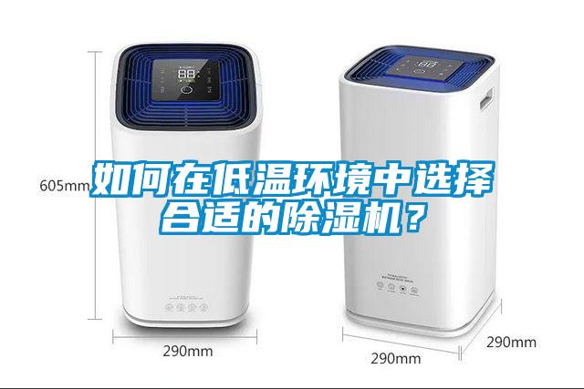 如何在低温环境中选择合适的粉色视频免费在线观看？